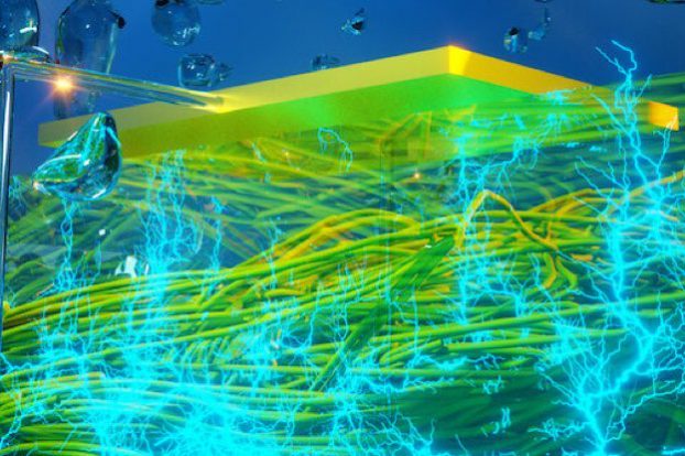 012-bacteria-device-electricity_1024