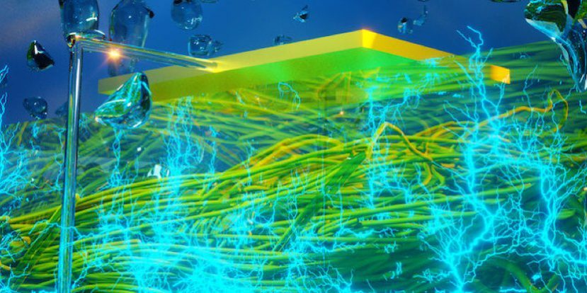 012-bacteria-device-electricity_1024
